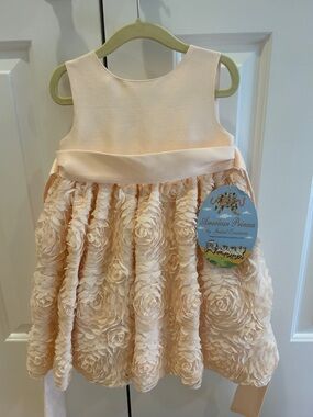 American Princess Pale Pink Rosette Skirt Party Dress